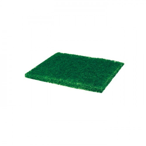 Kleeno Scrub Pad (4X5)