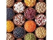 Dals And Pulses